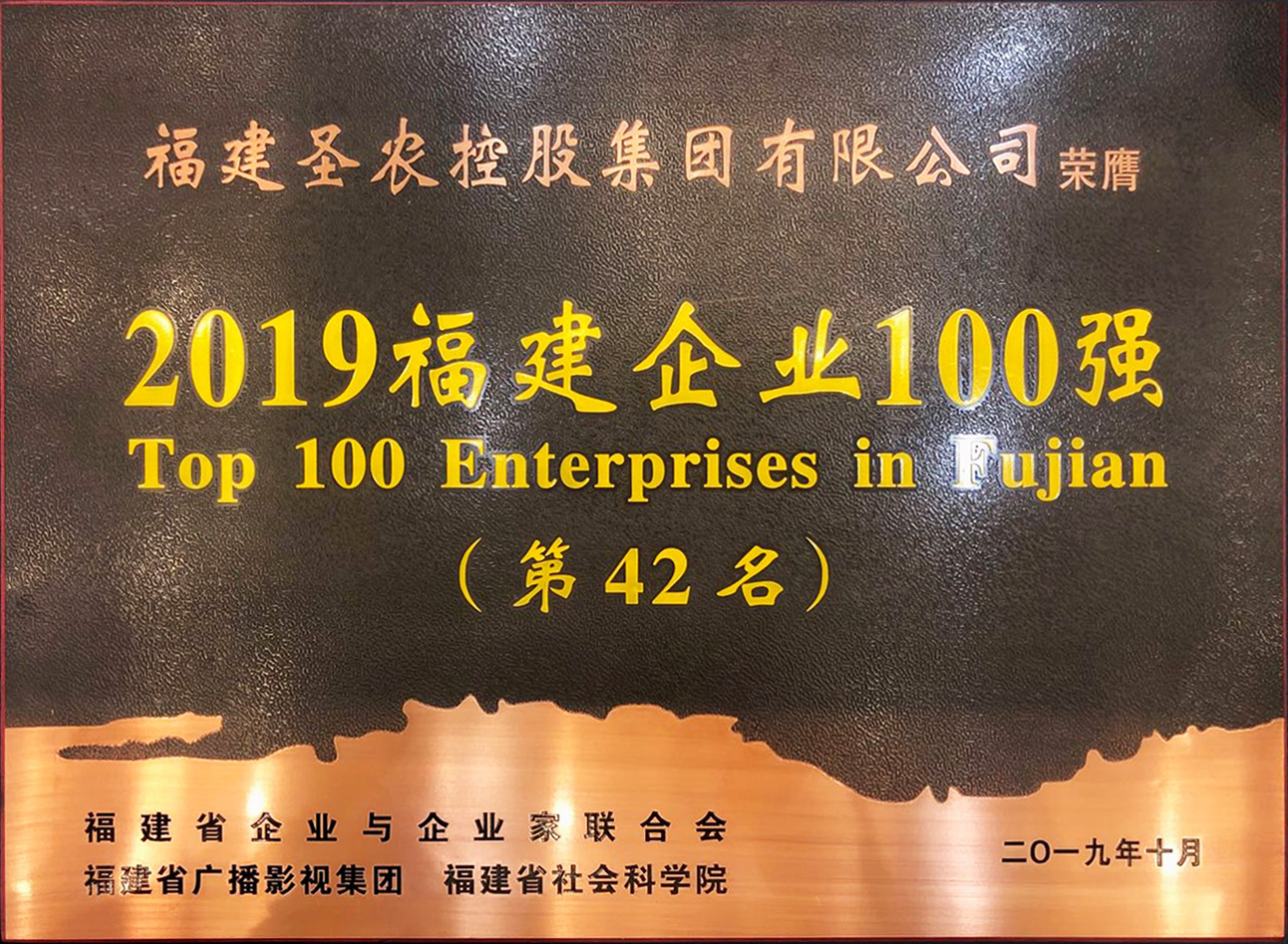 2019（环亚集团AG88集团）福建企业100强